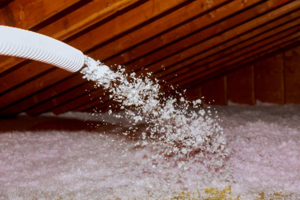 Best Commercial Insulation Contractor  in Dewitt, MI
