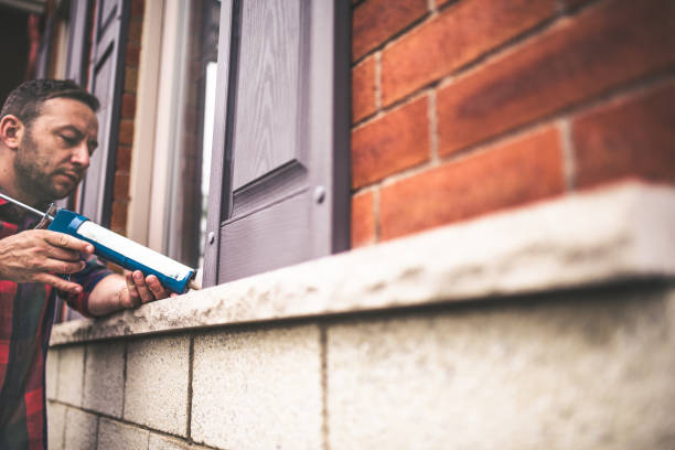 Best Cellulose Insulation  in Dewitt, MI