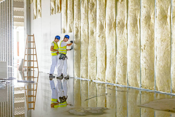 Best Wall Insulation Contractor  in Dewitt, MI
